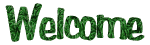10 1
